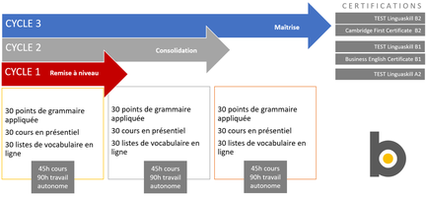 Diagramme parcours certifications Cambridge Bilingo