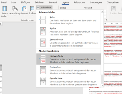 Abschnittsumbruch einfügen um Seitenzahlen unterschiedlich zu definieren 