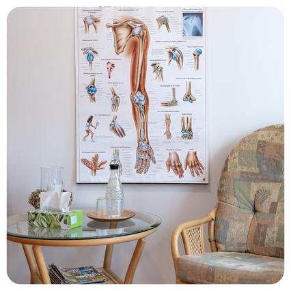 Wartebereich der Physiotherapie Musterbruch  mit anatomischem Poster und Sitzgelegenheit