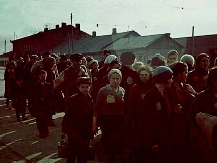 Selektion i tilintetgørelseslejren Auschwitz