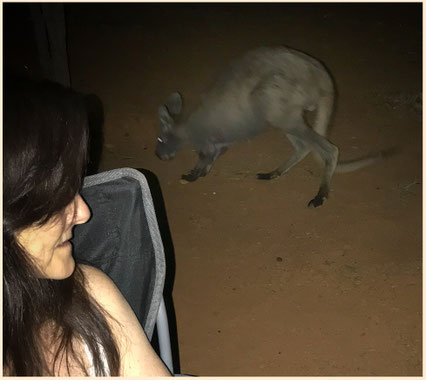 Koroit, Ouback Camping, Campen im Outback, Outback Queensland