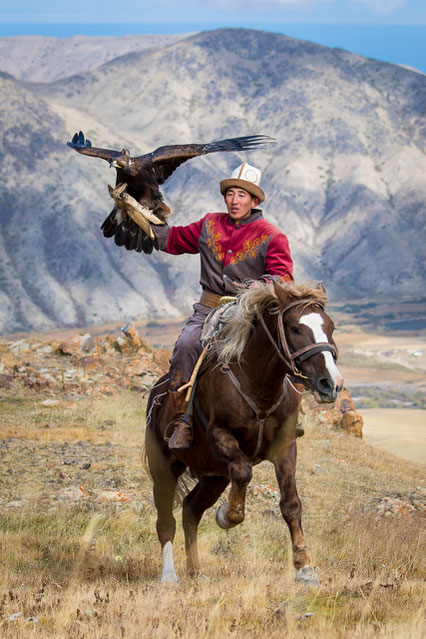 Ruslan with his majestic eagle galopping in the Kyrgyz mountains