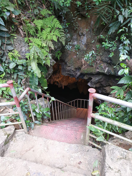 Bird Park Tropfstein-Höhle