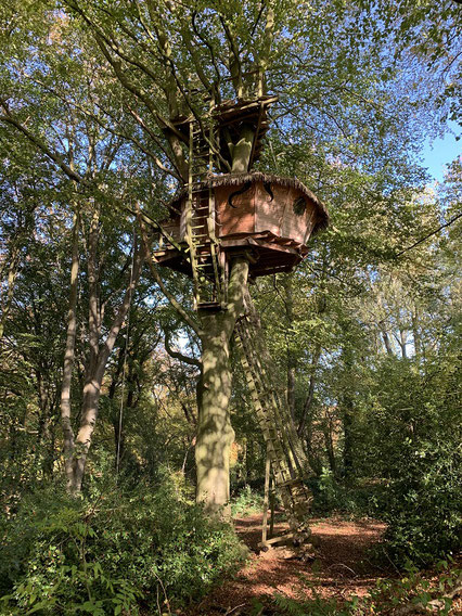 Cabane perchée à 12 m dans un hêtre majestueux. Terrasse 4 m au-dessus, à 16 m, accessible par une échelle droite.