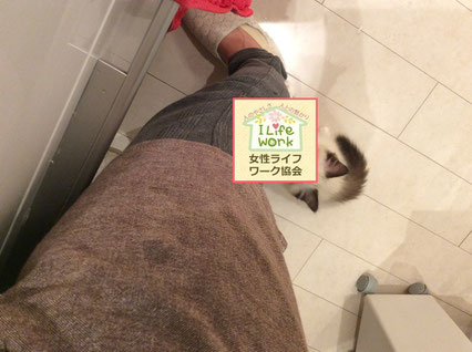 大阪兵庫で家事代行サービスはお掃除上手で快適な暮らしをご提案無くしもの探し