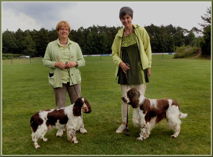 Felicitous Baxter Baxti Großhabersdorf