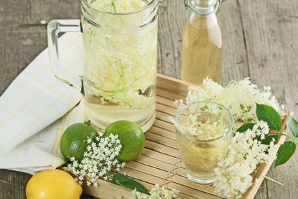 Ob Holunder-Limonade, Eistee oder ein erfrischender Drink mit Basilikum und Limetten: Mit nur wenig Zutaten lassen sich leckere Sommergetränke zaubern. Foto: djd/Emil/Franz Peter Rudolf-Fotolia