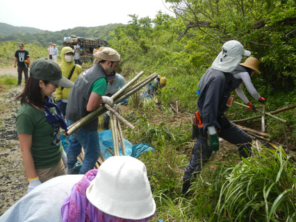 水脈づくりの様子（土壌透水性の改善）