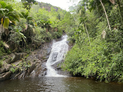 Bild: Der Wasserfall