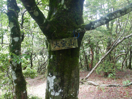大室山山頂