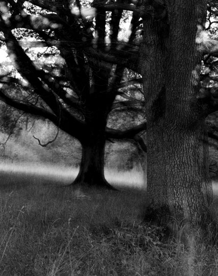 Nell'Ombra I