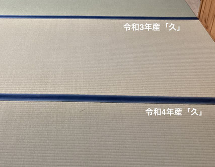 敷き込み時（2024/12/20）
