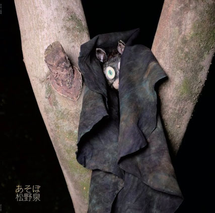 LP あそぼ｜松野泉 ¥4,400 税込 ＊別途送料がかかります。http://enban.cart.fc2.com/ca22/4895/p-r-s/