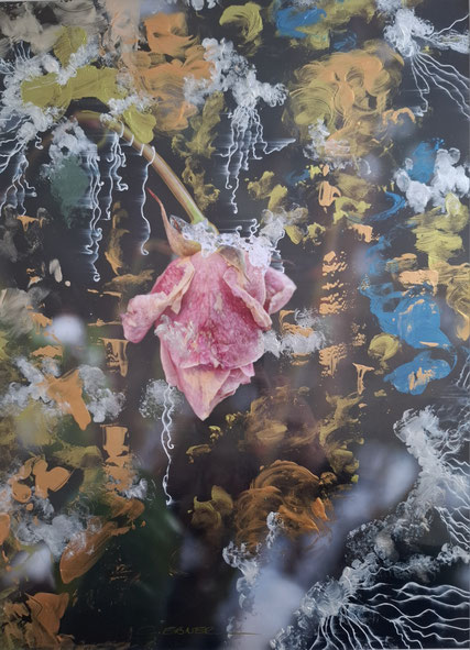 OHNE TITEL - BY CLAUDIA EBNER ART