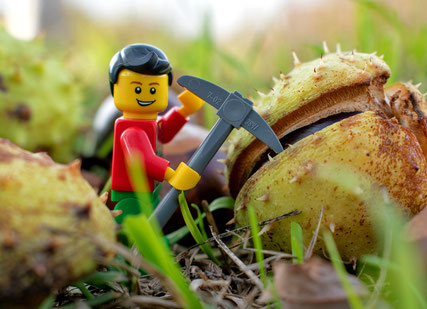 Kastanie, Herbst, Legominifigur