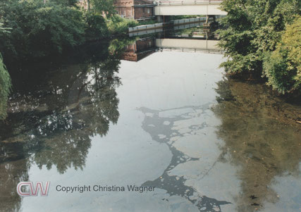 Während mit den Hochleistungspumpen das Wasser in die Elbe beördert wurde, zeigte sich eine Verunreinigung des Wassers. Blick von der Rhinbrücke Stadtstraße.