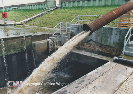 Aus dem Stahlrohr schießt das Wasser vom Schwarzwasser in die Elbe.