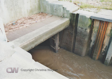 Über die geöffnete Schwarzwasser-Schleuse strömt Wasser in die Elbe.