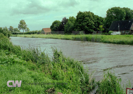 Durch den Starkregen führte der Herzohner Rhin Hochwasser.