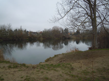 Der Wuhlesee