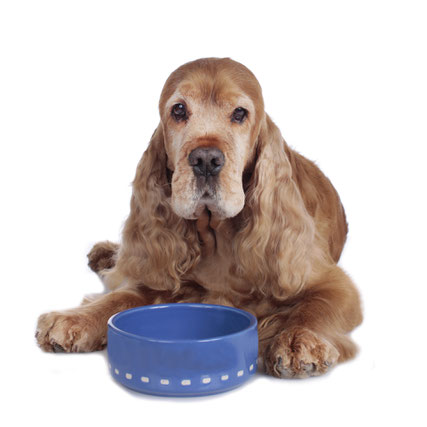 Foto:Fotolia