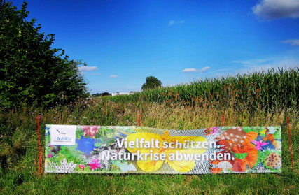 Vielfalt schützen - Naturkrise abwenden | Foto: NABU P. Weitzel-H.