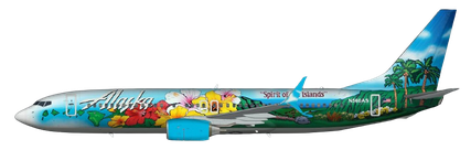 Aircraft Type: Boeing 737-800