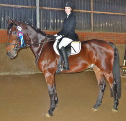 Auf dem Reitertag in unserem Verein, 07.12.2013, kam Chiara mit Rigo im ERW auf den 4.Platz, Wertnote 7,2.