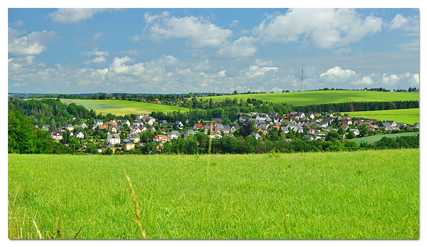 Blick auf den Steinberg / Quelle: Bürgervereinl