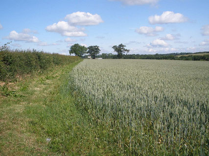 Public footpath near Wheatmoor Farm. Photograph by megara_rp/ Chris Davies on Flickr "All Rights Reserved" reproduced here with his permission.