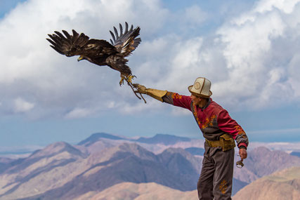 Salavat let his eagle free to scan the area.