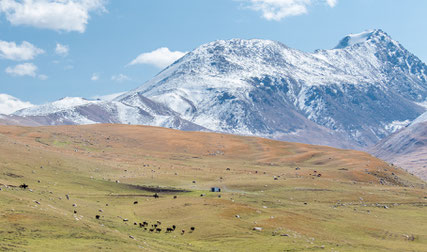 The mountains near Bokonbaevo