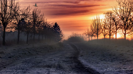 Morgenstund hat Gold im Mund