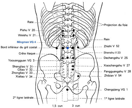 Fig. 5 - Localisation du point Mìng Mén