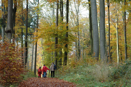 Wanderer im Herbst © Staatsbad Salzuflen GmbH