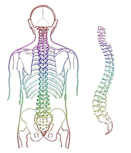 Orthopädische Yogatherapie-Ausbildung abgeschlossen - Cornelia Sitte | YOGA erleben