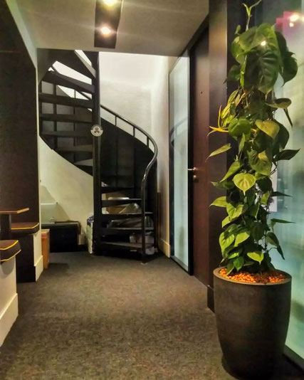 location de plantes bureaux Paris