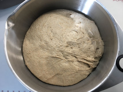 Roggen-Brot_Teig in Edelstahl-Schüssel