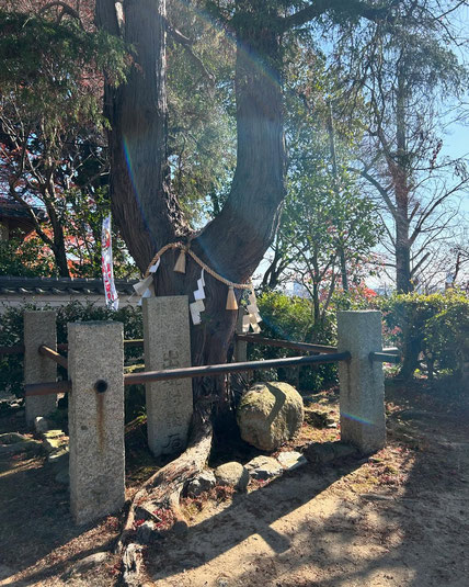 日本で初めて歓喜天が現れた場所（聖天宮西光寺）