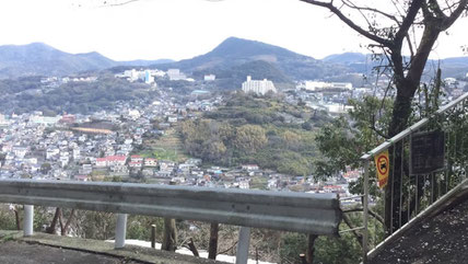伐採後の景観