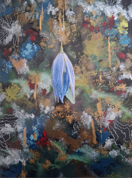 BLUE BELL - BY CLAUDIA EBNER ART
