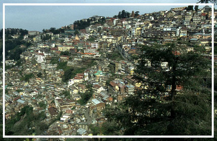 Shimla-Himachal-Pradesh-Indien-F682