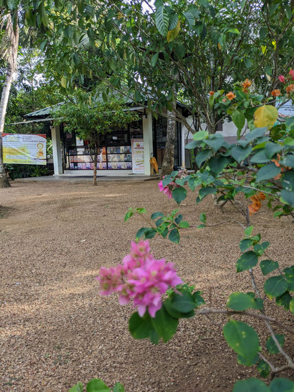 This is the privat bookshop of the Monastery.