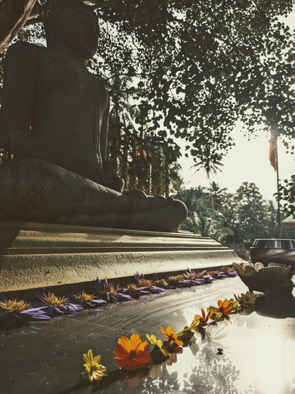 This is the Buddha statue underneath the Buddhi-Tree. A nice place for meditation and my Dhamma-lectures.