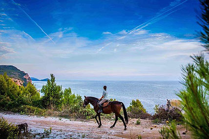 Active holidays in Cavtat