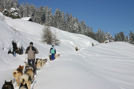 sled-dog-adventure-contamines-montjoie