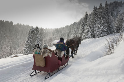 Sleigh-rides-to-Colombaz-contamines