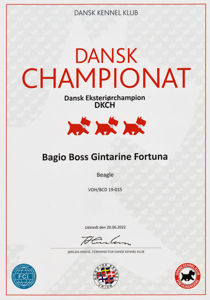 Bagio Boss Gintarine Fortuna * Lord James *, Czarnowsky , Beagle, Beagle, Beagle, Beagle, Beagle, Champions, Winner, the Best, Love, Star