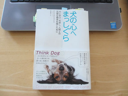 『犬の心へまっしぐら』