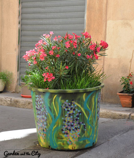 Laurier rose cultivée dans une poubelle peinte à Marseille